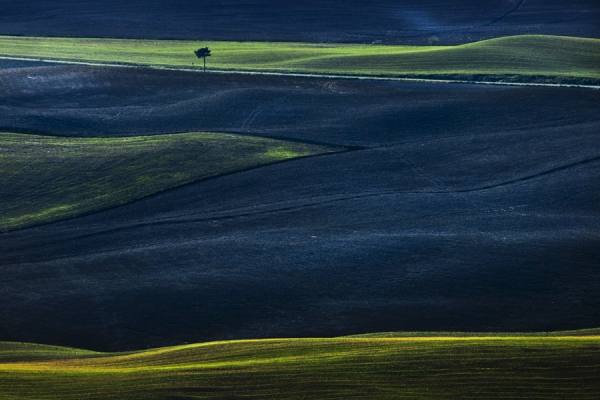 Photograph Della Latta Massimo  L Albero on One Eyeland